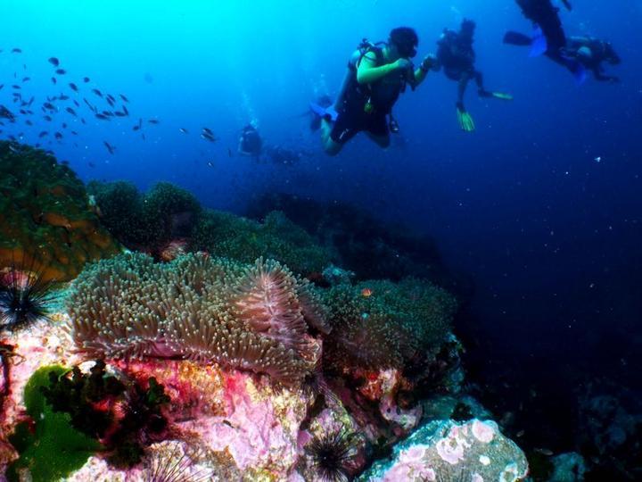 如何保持年轻?面对华熙生物董事长赵燕,任泉的回答……
