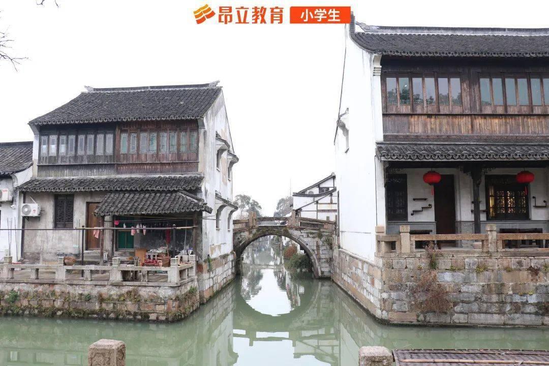 陕国投,当上秦岭“守护者”